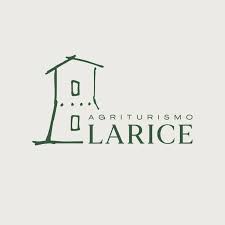 larice log